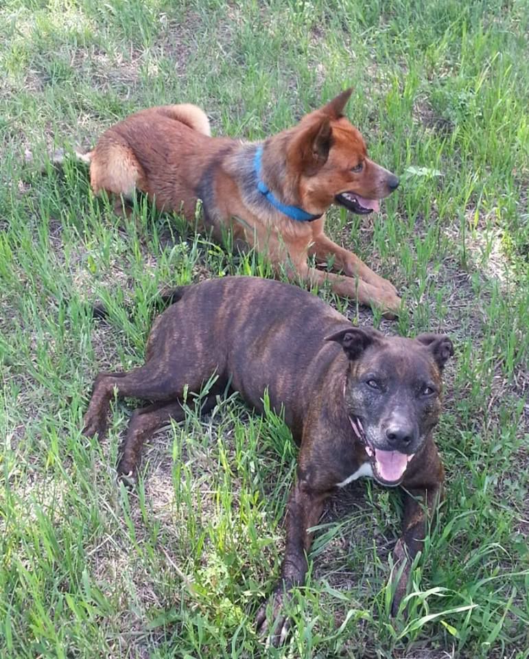 Lexi and Shooter - Brandi Paczosa.jpg